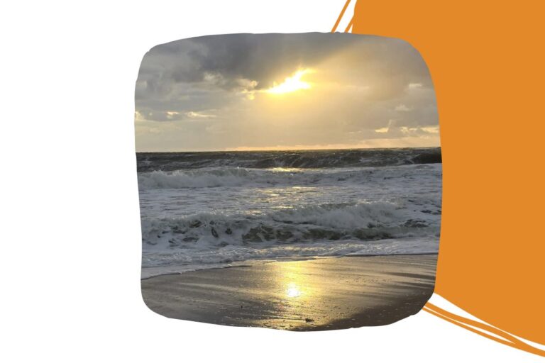 Mehr über den Artikel erfahren 🌿 „Trauer ist die Lösung, nicht das Problem.“ – Chris Paul