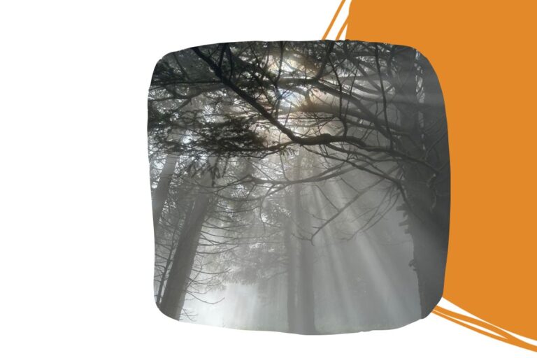 Mehr über den Artikel erfahren Wenn Rufen Teil des Weges ist